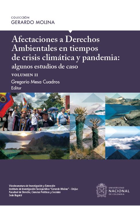 Afectaciones a derechos ambientales en tiempos de crisis climática y pandemia