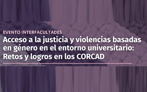 Acceso a la justicia y violencias basadas en género en el entorno universitario.