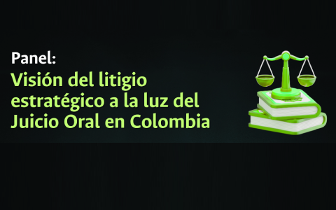 Una mirada al litigio estratégico desde la FDCPS